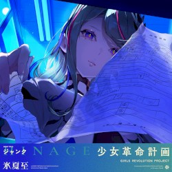 ジャンク