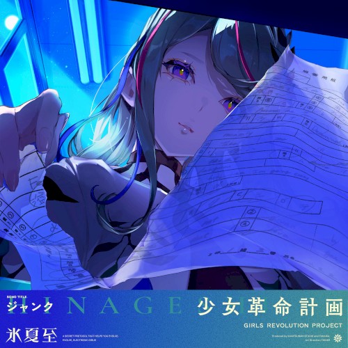 ジャンク