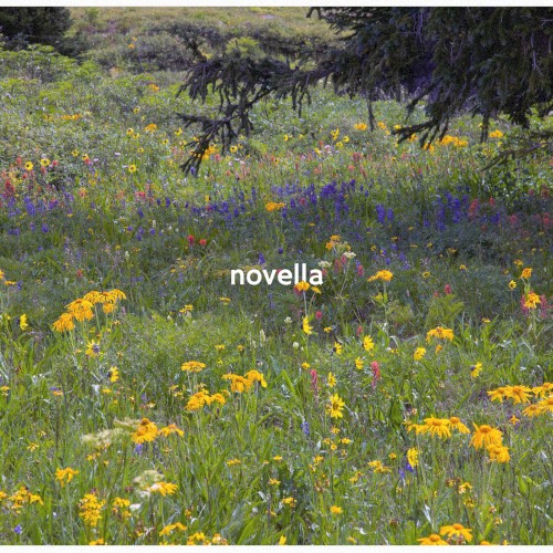 Novella