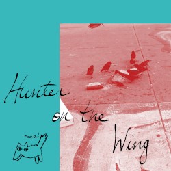 Hunter on the Wing