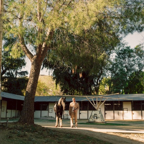 Stable