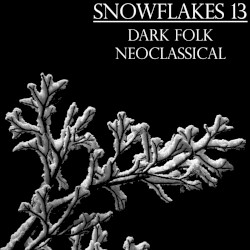 Snowflakes 13