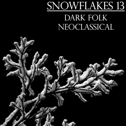 Snowflakes 13