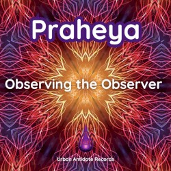 Observing the Observer
