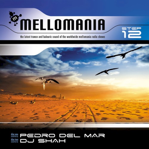 Mellomania, Step 12