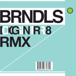 DGNR8 RMX