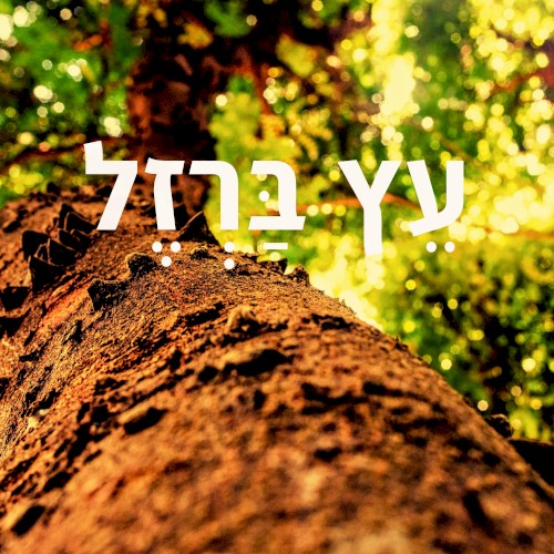 עֵץ בַּרְזֶל