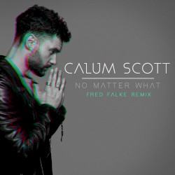 No Matter What (Fred Falke remix)