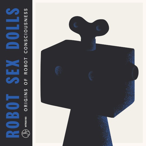 Origins of Robot Consciousness