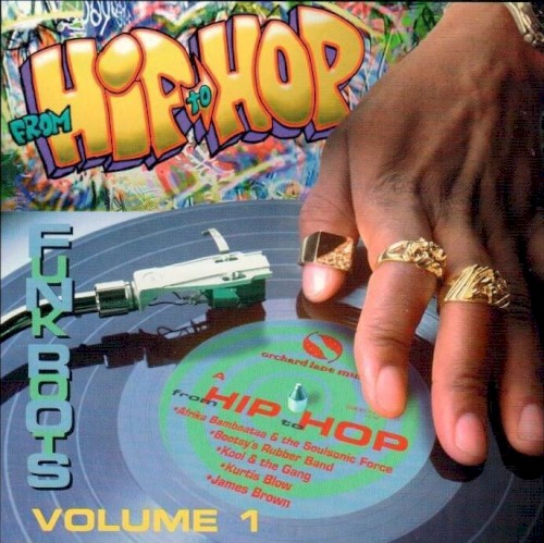 From Hip to Hop: Volume 1: Funk Roots