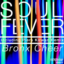 Soul Fever