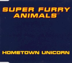 Hometown Unicorn
