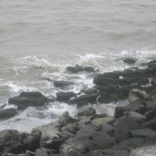 Albany State Marine Reserve