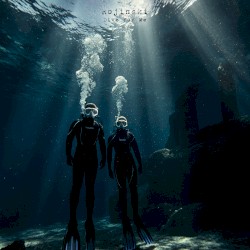 Dive for Me