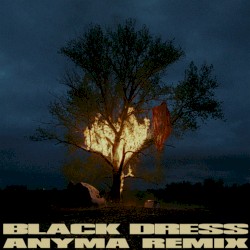 Black Dress (Anyma remix)