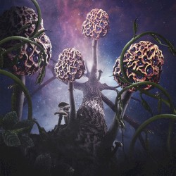 Hallucinogen