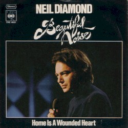 Beautiful Noise