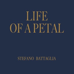 Life of a Petal