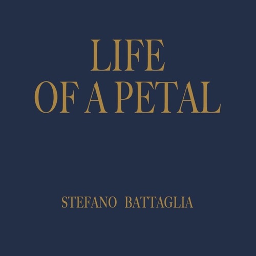 Life of a Petal