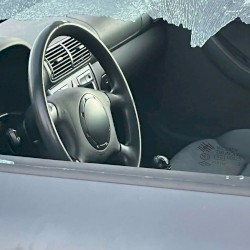 Dżungla