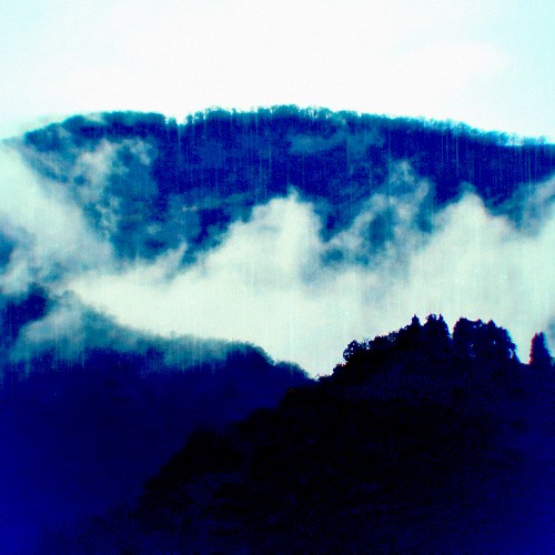 Contemplation of Reality, in Forest Rain