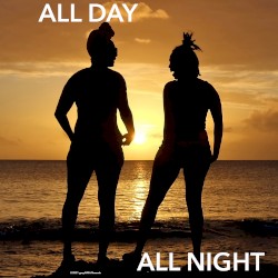 All Day All Night