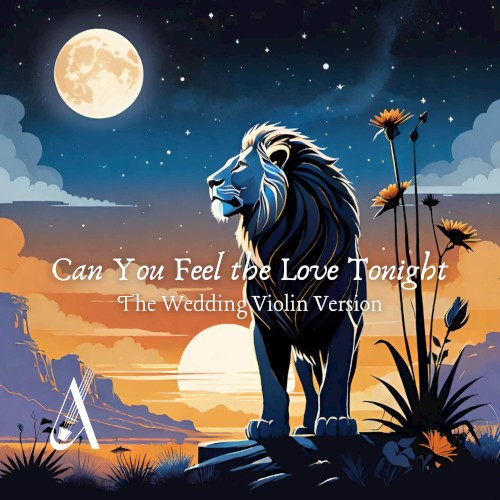 Can You Feel the Love Tonight (The Wedding Violin version)