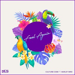 Feel Again