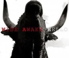 Wide Awake Hello