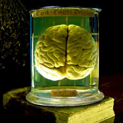 Cotard's Delusion