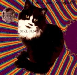 How Do You Like My Cat?
