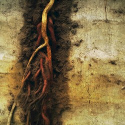 Snared