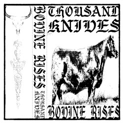 Bovine Rises