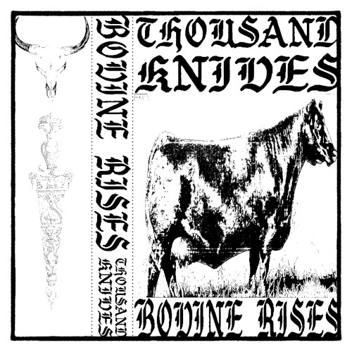 Bovine Rises