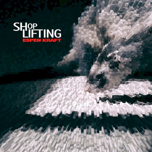 Shoplifting