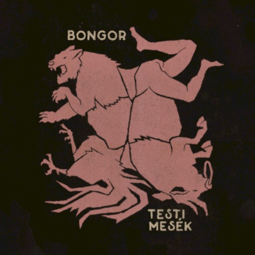 Testi Mesék