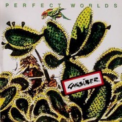 Perfect Worlds