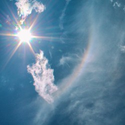 Just a Speck of Dust