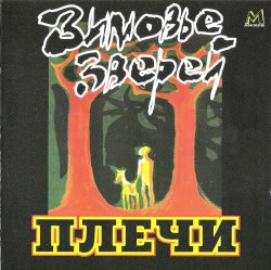 Плечи