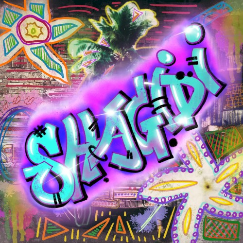 Shagidi