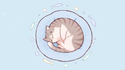 Swimmer