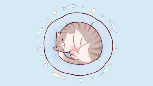 Swimmer
