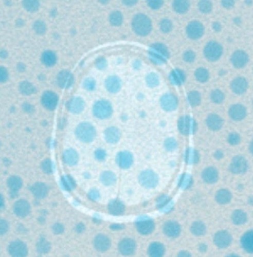 Gadolinium