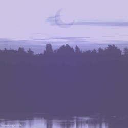 talktothemoon