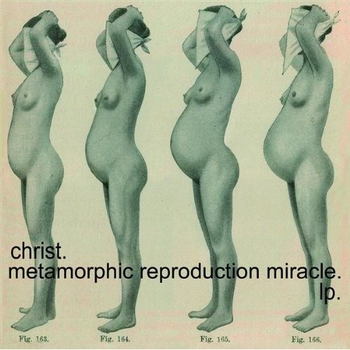 Metamorphic Reproduction Miracle