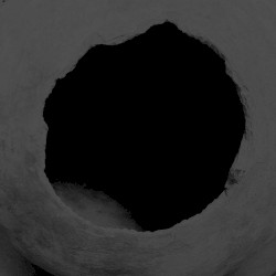 Sinusoidal Entities