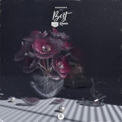 Best (Bare Noize remix)