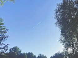 blue days