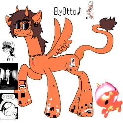 PONY