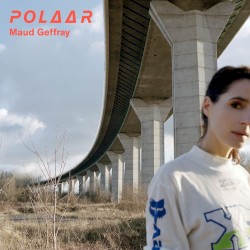 Polaar